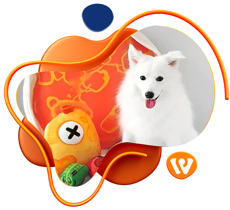 Pets WIX <br>Dropshipping Stores 